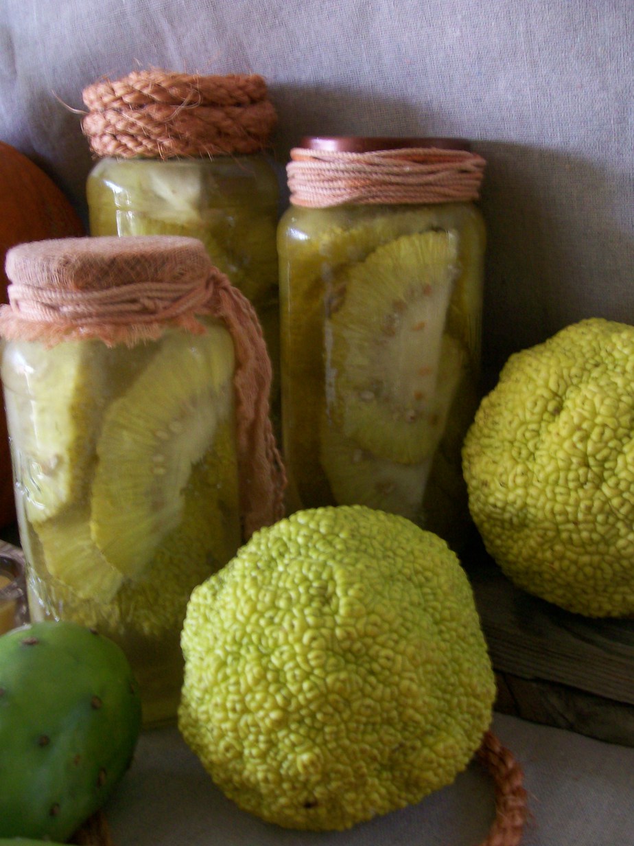 Hedgeapples Pickled and Waxed