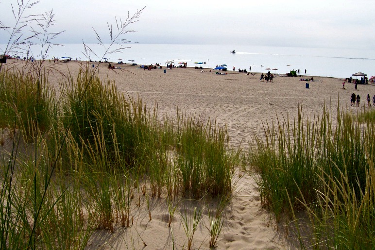 trails lead to the beach-Warren Dunes - StowandTellu