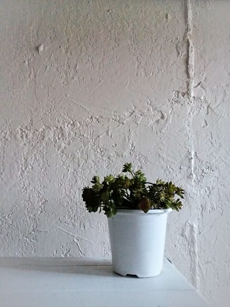 Close-Up of Textured Concrete Wall Close-Up with planter