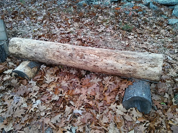 log-bench-americas-stonehenge