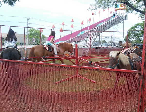 pony-rides-montana-charlies