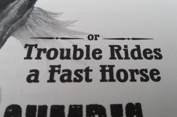 trouble-rides-a-fast-horse-audrey-couloumbis