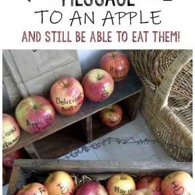 Fall Inspired Sayings with Edible Marker on Apples