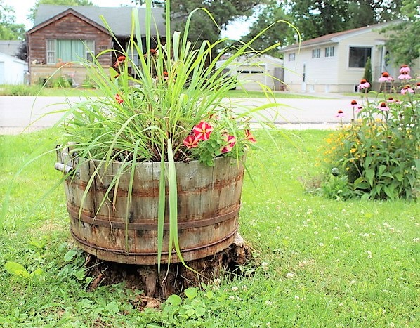 How to make a large garden container look full | tip for using large display containers | stowandtellu.com