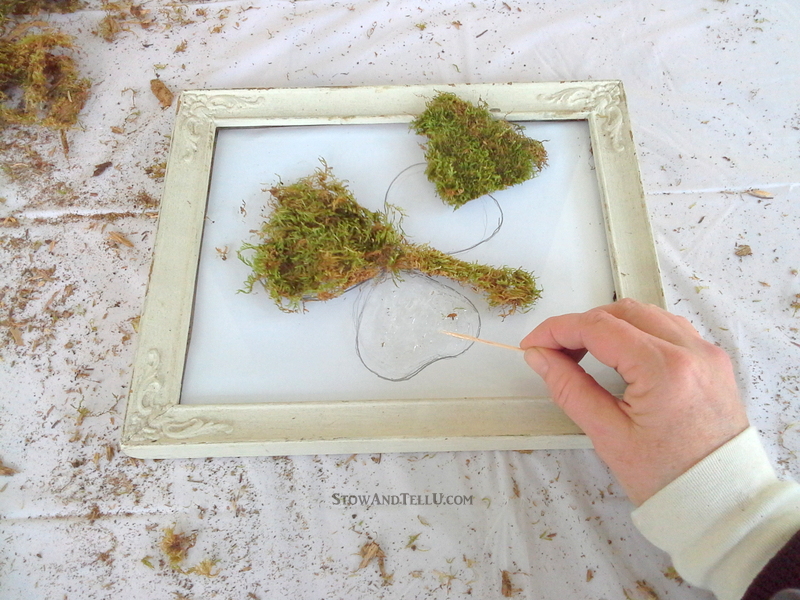 Use the glass and frame only from a vintage frame to make a framed moss shamrock or any moss shape that works for you. Rustic, simple look for St Patrick's Day or Spring decor - StowandTellU.com