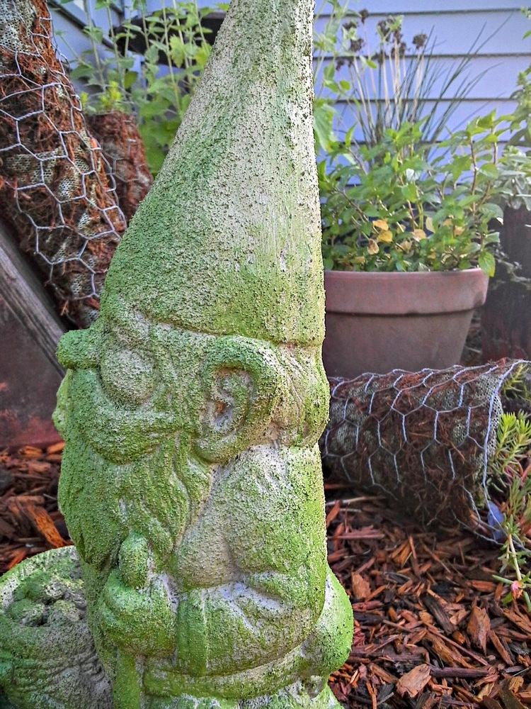 Garden gnome faux painting with moss - StowAndTellU.com