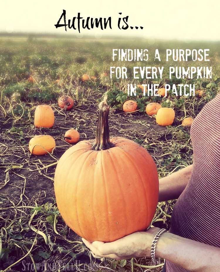 autumn-is-finding-purpose-stowandtellu