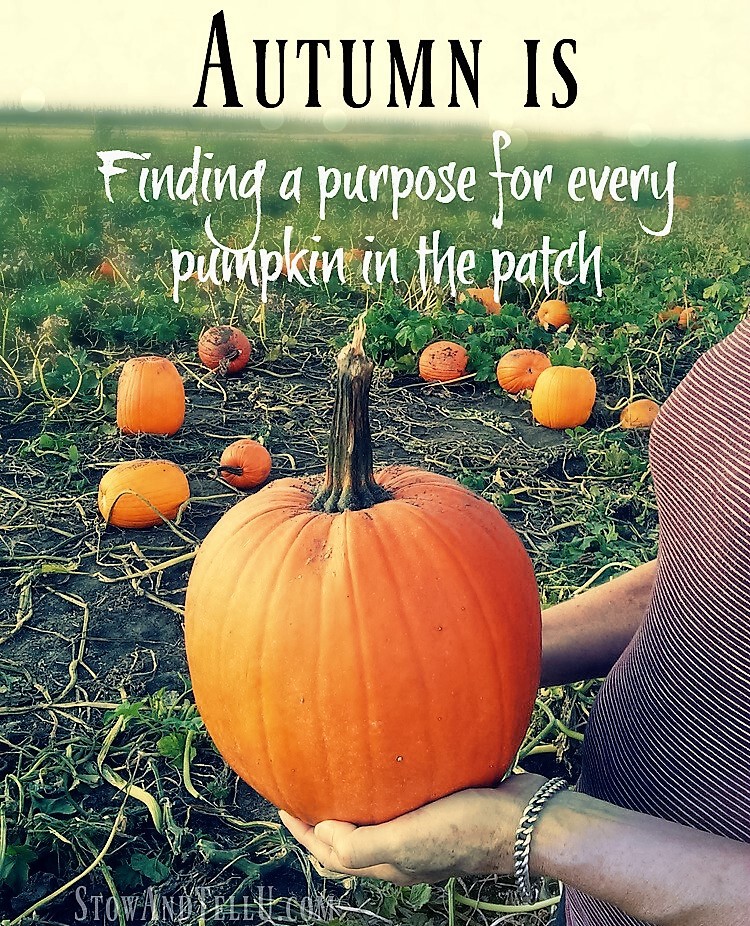 autumn-is-finding-purpose-for-every-pumpkin