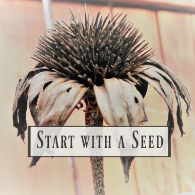 Start with a Seed Series (part 2): Garden Planning Printable