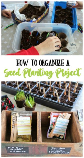 How to organize a seed planting-sowing-project | Stowandtellu.com