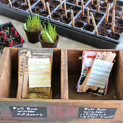 Start with a Seed (part 4): Organizing a Seed Planting Project