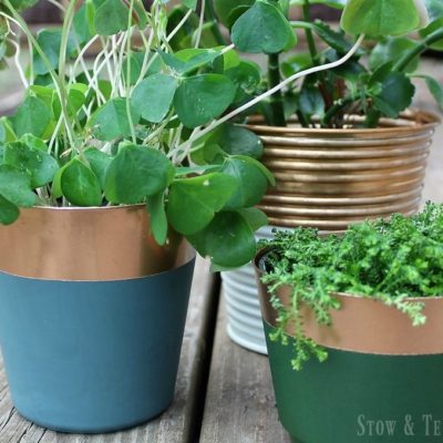 Fools Copper Paint Dipped Planters