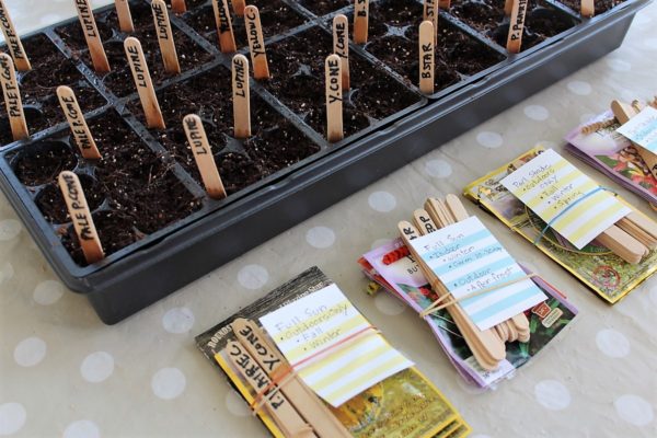 Seed packet sowing and planning | Stowandtellu.com