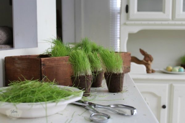 trimming-easter-grass-stowandtellu