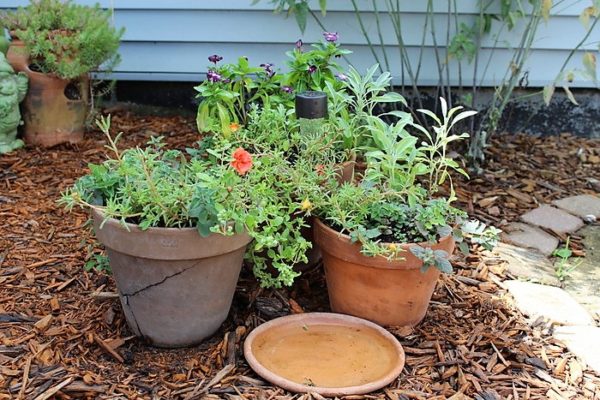 Inexpensive container garden with herbs and flowers combined | stowandtellu