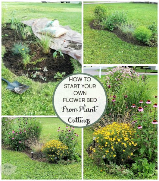 6 Tips for starting a diy flower bed | diy flower bed makeover using plant cuttings | stowandtellu.com