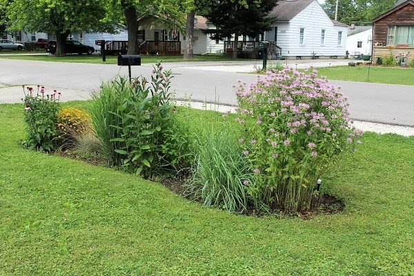 bee-butterfly-diy-flower-garden