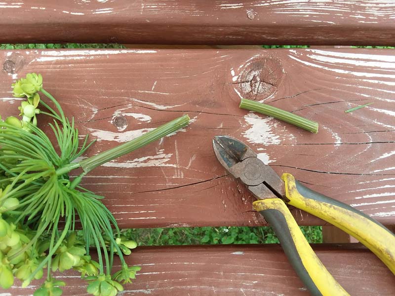 Cutting faux succulent stem for potting into a container with pea gravel glue | stowandtellu.com