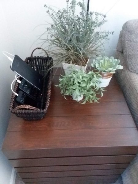 Basket Phone Charging Station and Plants on Table Top