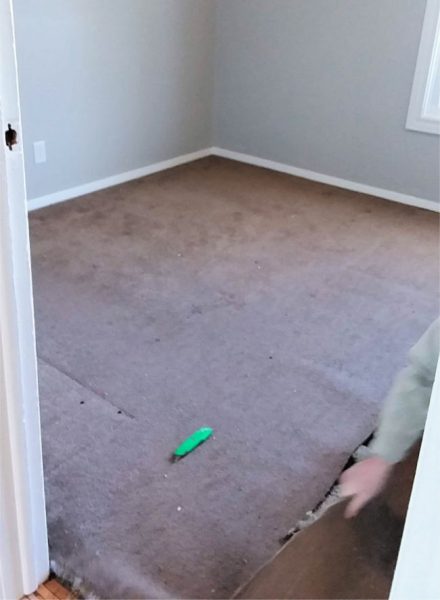 pulling up carpet 