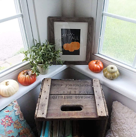 plants and small pumpkins on windowsill