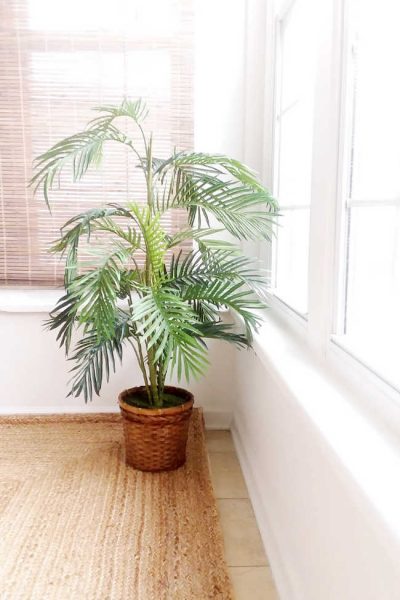 fake palm in planter