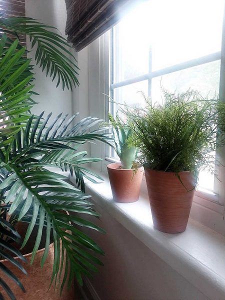 DIY FAUX PLANTS IDEAS - How to Make Realistic Looking Plants 🌿 on a Budget  