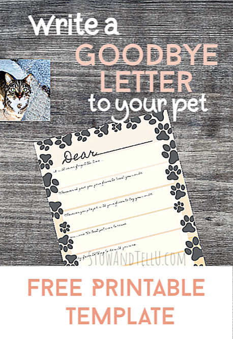 Write a Goodbye Letter to Your Pet who is gone or has been lost