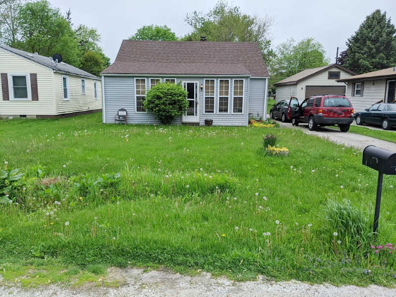 Weedy front yard and flower bed