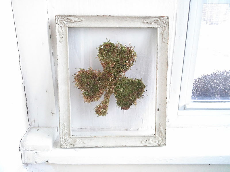 White frames with moss shamrock in floating glass