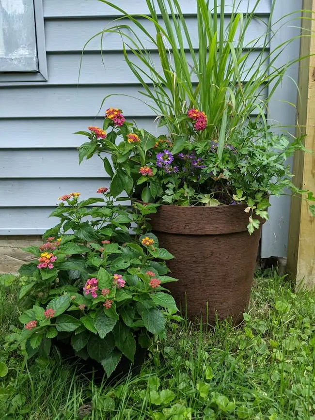 Spray painted plastic planter with flowers